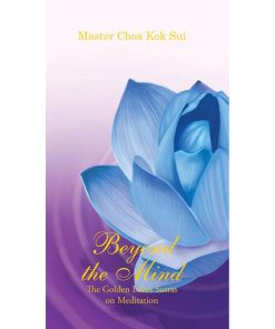MCKS Beyond The Mind Book