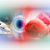 Θεραπεία Pranic Cellular Healing εξ αποστάσεως