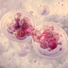 Pranic Cellular Healing